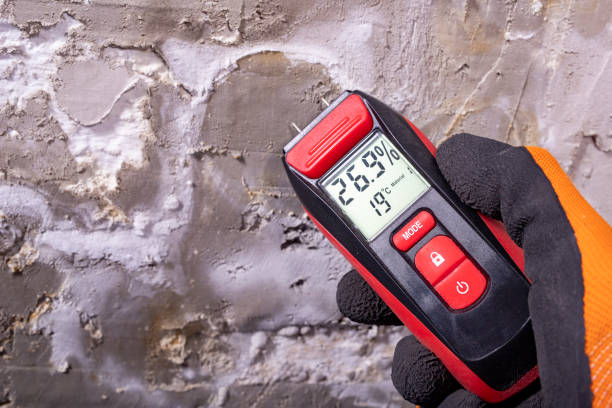 Best Home Mold Removal  in Wendell, ID