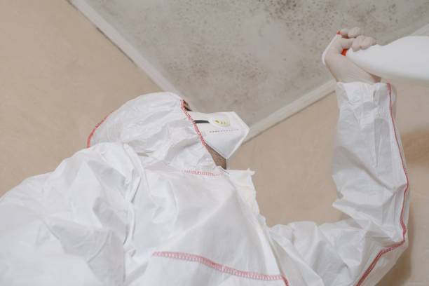Best Residential Mold Removal  in Wendell, ID